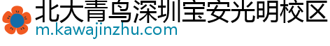 北大青鸟深圳宝安光明校区